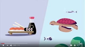  What is the connection between sushi and a turtle?  