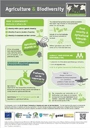  Fact Sheet: Agriculture & Biodiversity 