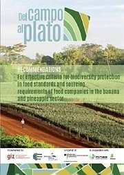  Del Campo al Plato: Recommendations for the Banana and Pineapple Sector 