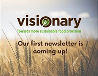 New VISIONARY Newsletter