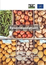  Recommendations 