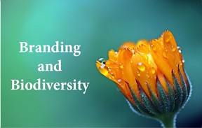  Beauty of Sourcing with Respect conference 2018:
"Branding & Biodiversity" 