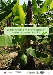  Informe de referencia_la biodiversidad en los estándares del
sector del banano y la piña 