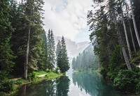 The business of biodiversity: can we put a value on nature?