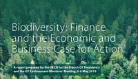 Biodiversity: Finance and the Economic and Business Case for Action