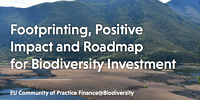 Investors examine Footprinting methods and Positive impact
