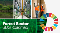 New roadmap to maximize the forest sector’s contribution to the SDGs