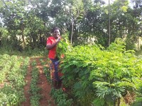 Herausforderung Praxis – Naturschutz in der kleinbäuerlichen Landwirtschaft