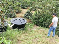 Improving Biodiversity Protection in Coffee Cultivation in South America