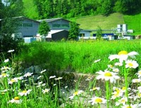 Halbzeit-Bilanz im LIFE BooGI BOP Projekt: Naturnahe Firmengelände europaweit