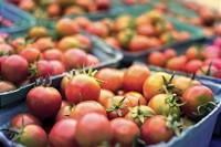 UBA-Studie zeigt Möglichkeiten für unternehmerische Sorgfaltspflichten für Menschenrechte und Umweltschutz