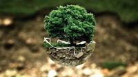 Freiwilliges Unternehmensengagement für Naturschutz: Spenden und Firmengelände an oberster Stelle