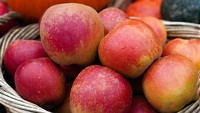 Ein starkes Bündnis für Biologische Vielfalt: Verein „Food for Biodiversity" gründet sich