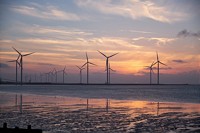 Energy company aims for net-positive biodiversity impact from new projects commissioned from 2030