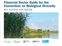 New finance guide aims to mobilize financial institutions to positively engage with nature