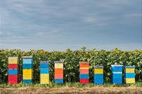 Einladung zur Fachtagung: Biodiversität im Lebensmitteleinzelhandel LEH