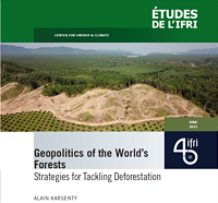 Geopolitics of the World’s Forests: Strategies for Tackling Deforestation