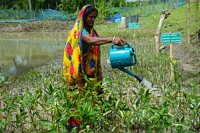 Mangrovenschutz & Nachhaltige Aquakultur: Einladung zum Dialogforum
