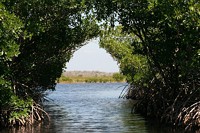 Publication: "Scaling Investments in Nature"