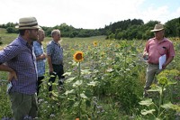 Flowering areas, but the right way! Expert discussion for insect-promoting regions reaps encouragement