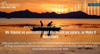 Business for Nature call for signing COP15 business statement on mandatory assessment and disclosure