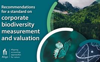 New publication: "Recommendations for a standard on corporate biodiversity measurement and valuation"