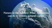 Die Natur im Gleichgewicht: Was Unternehmen tun können, um Naturkapital wiederherzustellen