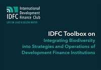 New IDFC Toolbox: Integrating Biodiversity into Strategies and Operations of Development Finance Institutions