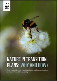 Publication: "Nature in Transition Plans: Why and How?"