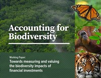 Accounting for Biodiversity: Towards measuring and valuing the biodiversity impacts of financial investments